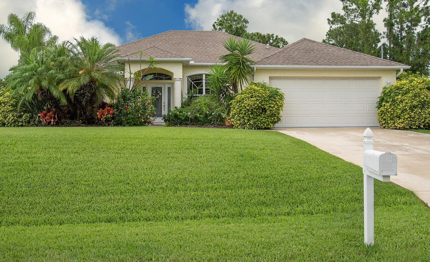 Types of Grass for Your Yard The Home Depot